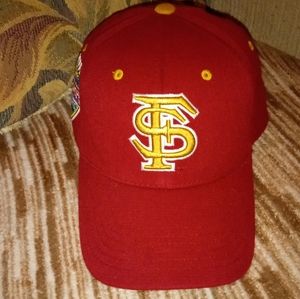 Florida State Seminoles 2004 champs bowl Zephyr fitted hat vintage